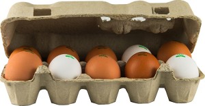 Löffler Eier aus Freilandhaltung