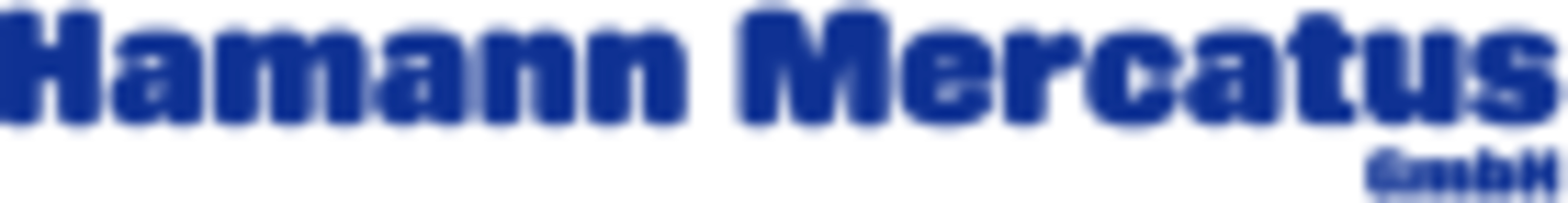 Hamann Mercatus GmbH